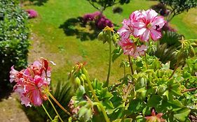 Il Giardino Degli Aranci